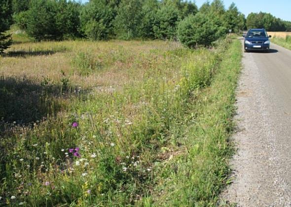 Var noga att spara eventuella blommande träd och buskar. Harvning för att upprätthålla sandblottor. Öppna upp och bind ihop området med område 19.