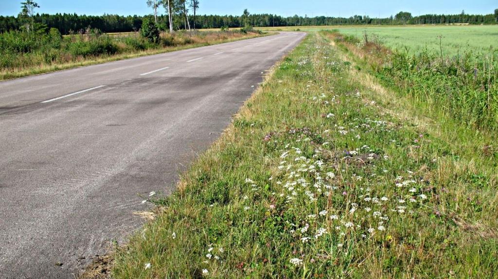 Området innehåller stora ytor med potentiell blomresurs för bin. Sträckan ligger dock något isolerad.