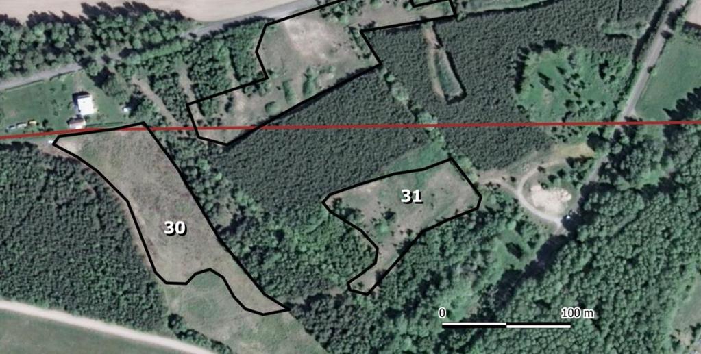 Delområde 30. Blomrik skjutbana Figur 136. Delområde 2. Rödlistade arter: Sexfläckig bastardsvärmare NT, violettkantad guldvinge NT, svävflugelik dagsvärmare NT.