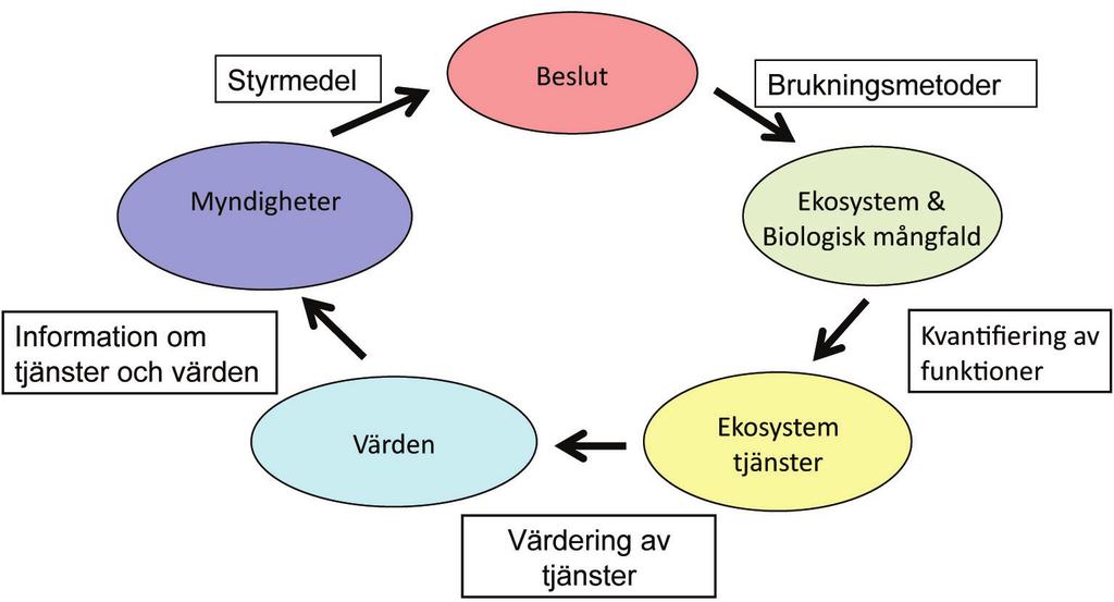 kvalitetsmålen.