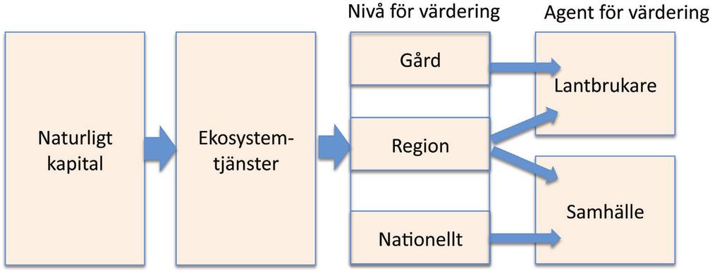 Figur 2. Värdering av naturligt kapital och ekosystemtjänster görs i projektet på tre nivåer och för lantbrukare såväl som samhället. 1.4.