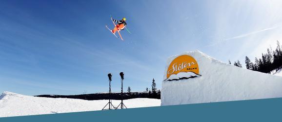 Skidresa på sportlovet Skidåkning, snowboardåkning, snöbollskrig, sällskapsspel, umgås med gamla och nya