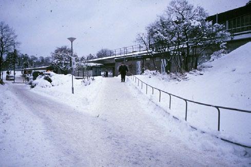 Foto 3 Foto 4 Kunskapen om pollare med stödjande funktion i gångmiljön är emellertid inte särskilt omfattanden. Grundläggande frågor är t.