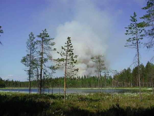 Hänsynsplan Umeå distrikt Naturvårdsbränning på Berga.