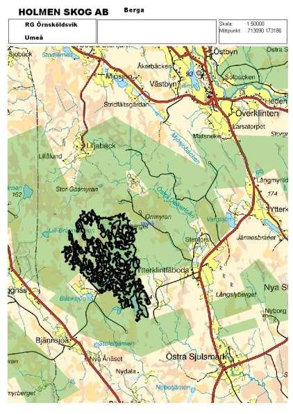 Storskogberget omfattar 70 ha inklusive bergimpediment och är klassad som nyckelobjekt. På västra sidan av berget växer granskog med inslag av grov asp, på asparna är collemalavar hittade.