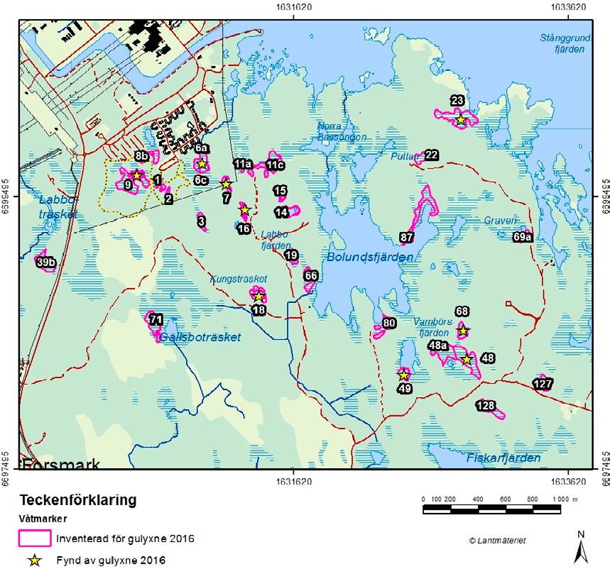 2.2 Inventeringsområde, Våtmark 48 Våtmark 48 ligger i södra delen av SKB:s mark och ligger också utanför det prognosticerade påverkansområdet för grundvattensänkning.