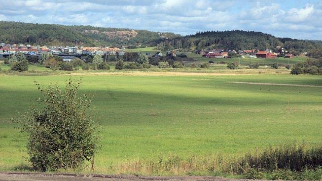 Området söder om Söderleden I området söder om Söderleden är andelen gröna strukturer större jämfört med området i norr (bilaga 2).