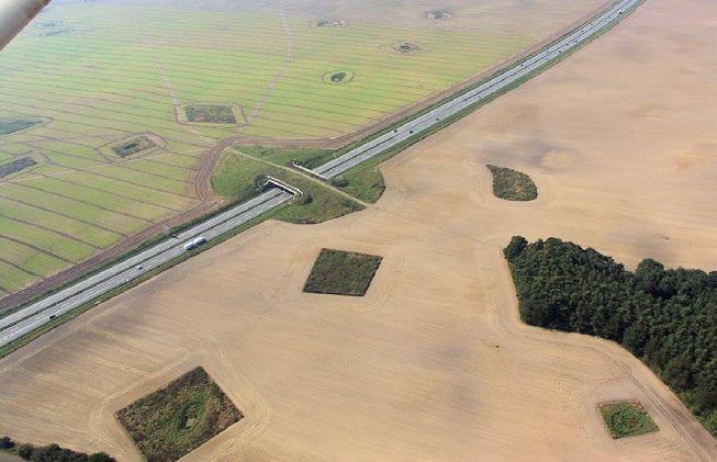 Ekodukt vid Fahrenholz i Tyskland ligger i ett flackt jordbrukslandskap. Notera skogsfragmenten som finns utspridda i jordbrukslandskapet.
