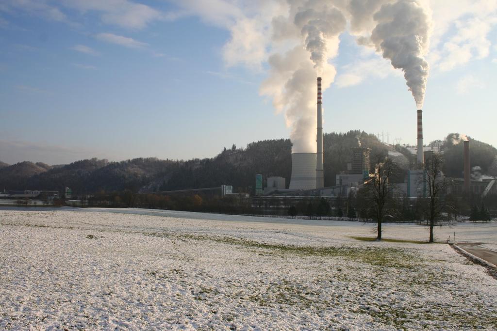 Köpare av flis Biobränsleeldade kraft/värmeverk Kolkraftverk Kalk och cement