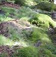 diameter 0,5 m och