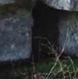gärdsgård för att hindra djur