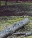 Södra bruke et