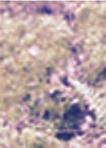 Stensö Oskarshamns