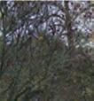 Södra Vi hälsobrunn Vimmerby