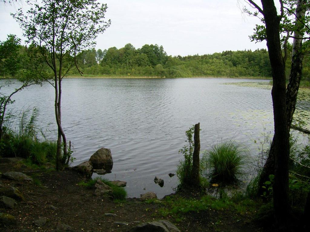 Det har betydelse för tillämpningen av regelverket om Natura 2000-områden.