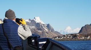 På de 400 meter lodräta klipporna hittar vi en av norra Atlantens största havsfågelkolonier. Här häckar sillgrissla, lunnefågel, tordmule, tobisgrissla, tretåig mås och vittrut.