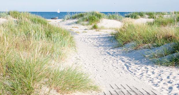 utflykt Vandringen bjuder på två alternativ: 1. Samling på parkeringen vid Mälarhusen. Vi går på stranden från Mälarhusen till stugan i Kyhl. Denna sträcka är inte tillgänglig för rullstolar. 2.