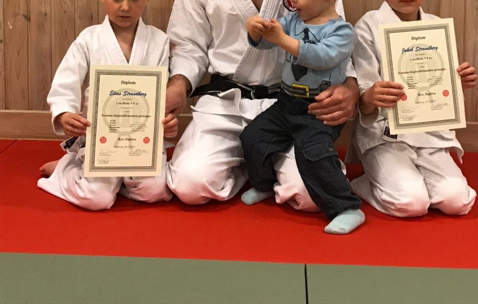 Vi letade i den tjocka telefonkatalogen (gula sidorna) och hittade Ninjutsu och Jiujitsu.