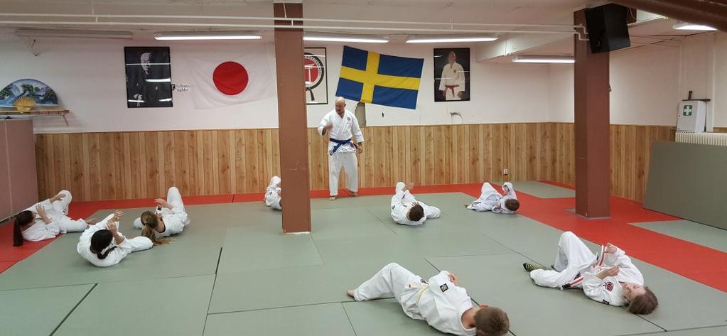 Det finns få träningsformer där barn och vuxna kan träna tillsammans, på samma sätt, och alla verkligen får ut mycket av varje träningspass och nästan alla vuxna som börjat har gjort det tillsammans