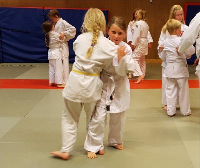 Barngruppen växer i Uddevalla Under senaste 15 åren har Uddevalla Jiujitsuklubb kunnat glädjas åt att följa barnen utvecklas i barn och ungdomsgruppen.