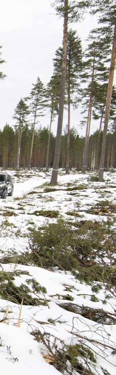 Särtryck ur Teknikens Värld nr 7 2017 Platser sm betytt extra mycket för