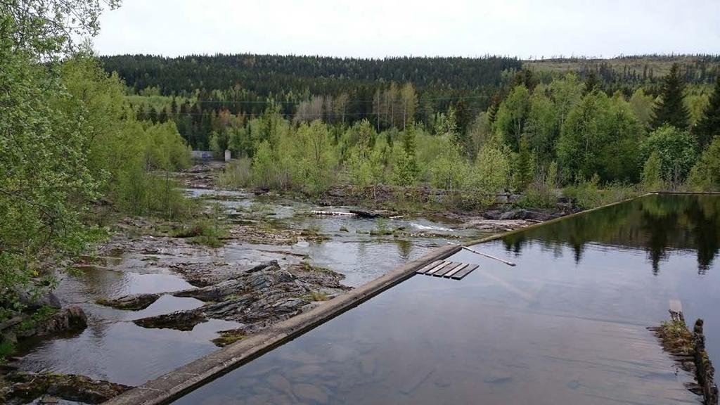 Foto: Tore Söderqvist Användarvänligt verktyg för värdering av miljöåtgärder Ett verktyg för att göra samhällsekonomiska lönsamhetsbedömningar av miljöåtgärder har tagits fram.