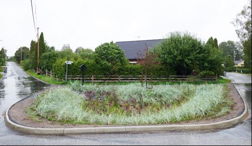 Asfalterade ytor kan förses med sk raingardens dit dagvattnet leds och filtreras och fördröjs innan avledning till dagvattenledning. Raingardens kan anläggas såväl med som utan växtlighet.