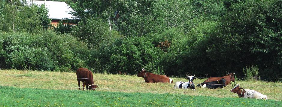 Jordbruk Åkerodling Runt grundvattendammar skall man lämna en 5 m skyddszon, där man inte använder gödsel eller bekämpningsmedel.