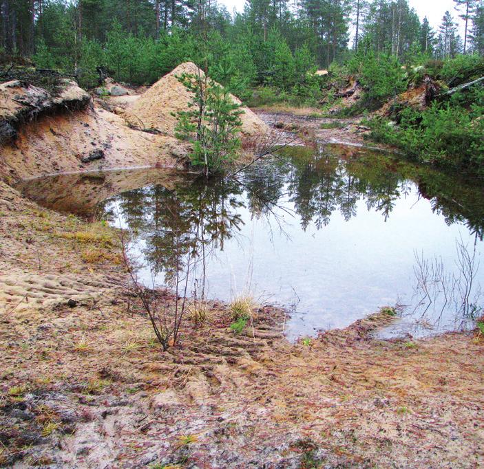 # * Oljecistern över markytan / Maanpäällinen öljysäiliö Stolptransformator / Pylväsmuuntaja Boskapsgård / Karjatila Häststall / Hevostalli Annan riskfaktor för grundvattnet / Muu pohjaveden