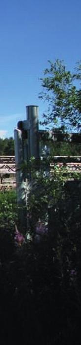 Lagstiftning kr ing grundvattenom råden Grundvattnets nationella skydd styrs i huvudsak av miljöskyddslagen (527/2014 och -fö rordningen (713/2014 samt vattenlagen (587/2011.