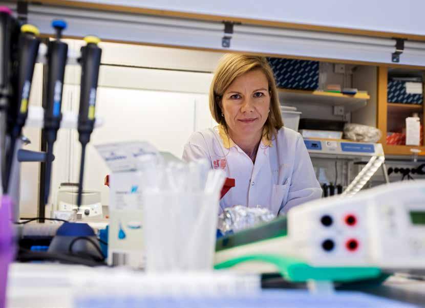Jenny lägger grunden till framtidens mediciner. Jenny Nyström är professor i njurfysiologi vid Sahlgrenska akademin i Göteborg.