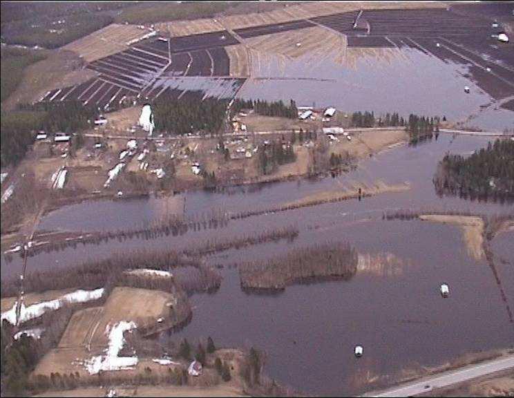 Bild 14. Åkerskador våren 2000 i Nedervetil, Kronoby.