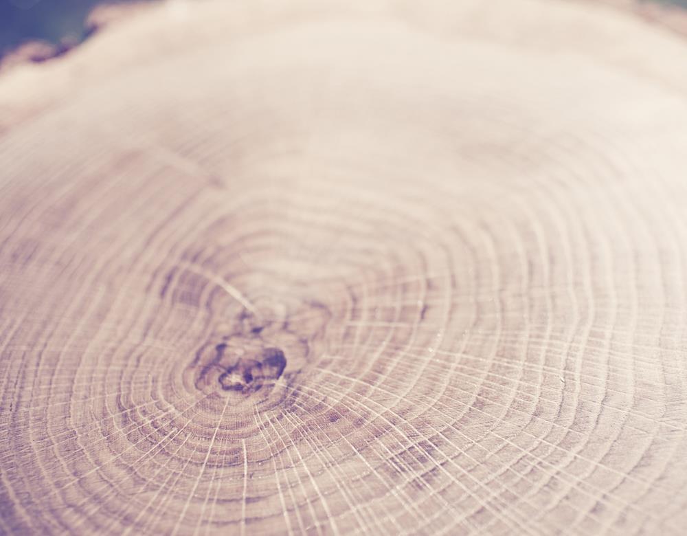 TRÄ SKA VARA TRÄ Till alla våra trämöbler använder vi riktigt trä. Som möbelsnickare vet vi hur trä ska behandlas och hur det uppför sig i en fuktig miljö.