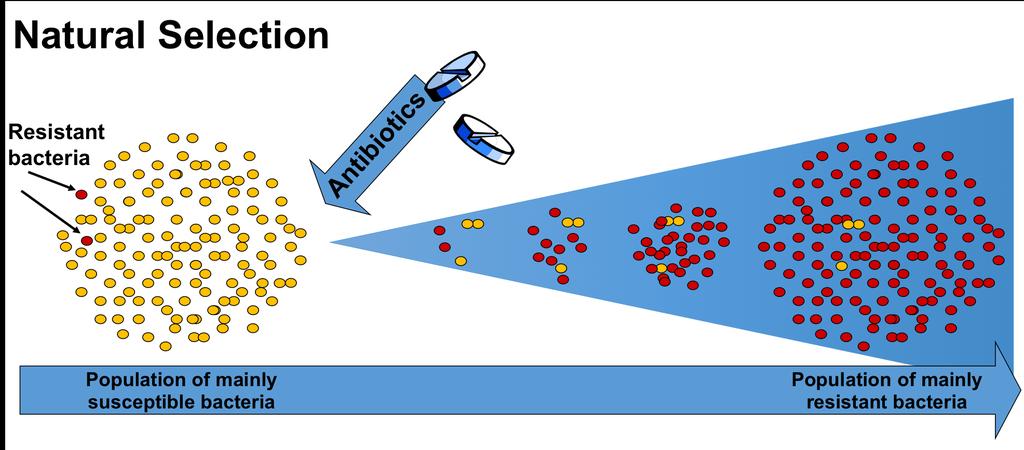 Använd ingen antibiotika i onödan Selektion
