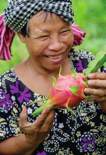 Vietnam 26 WE