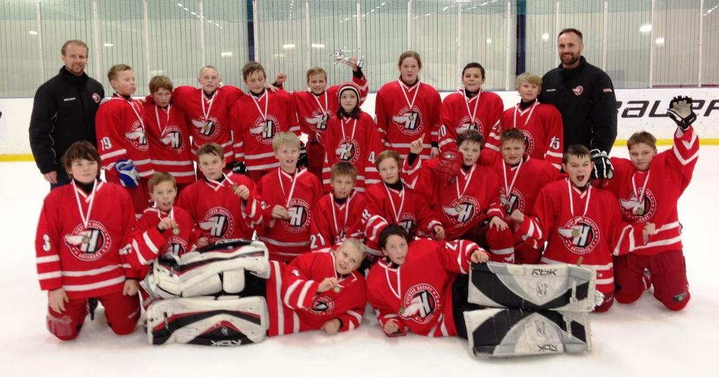Verksamhetsberättelse U12, (2001) Under denna säsong har vi varit 21 st I slutet av förra säsongen 2011/2012 förstärktes laget med 4 stycken killar och en tjej.