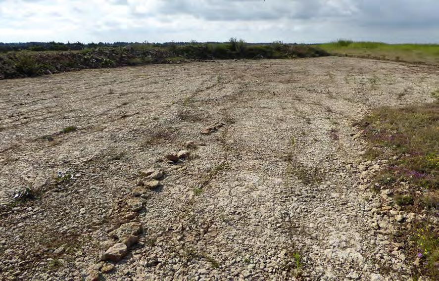 T Avbanad mark Beskrivning: Avbanad mark med blottlagd kalkhäll och tunt jordlager. I kanten ligger materialet upplagt i en vall.