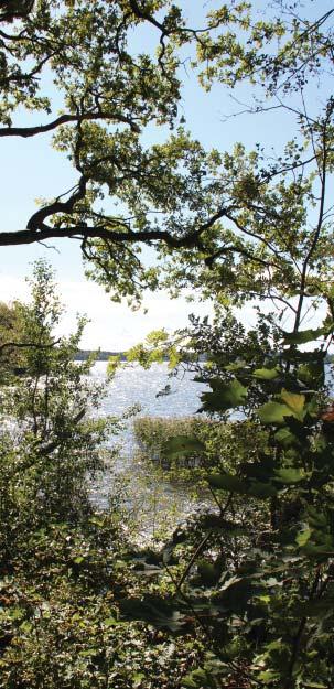 En stor del av Svartåns och Sagåns vatten har sitt ursprung i andra kommuner. Som en del i arbetet med Vattenplanen har vattenråd för Sagån respektive Svartån inrättats.