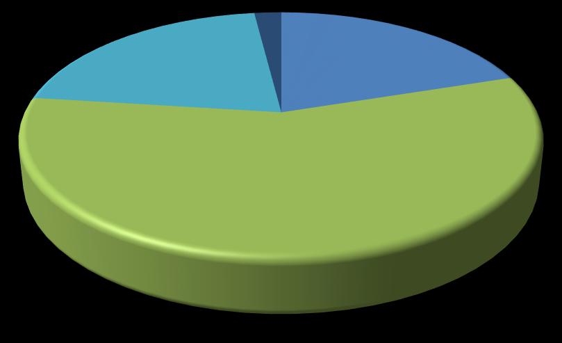 Instämmer i huvudsak inte ; 21 % Jag upplever