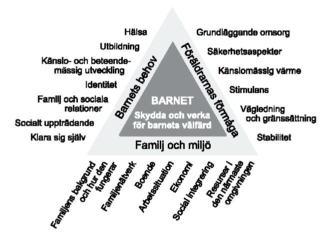 BBIC- triangeln Triangelsymbolen visualiserar att endast en helhetssyn kan ge underlag för att bedöma barnets behov.