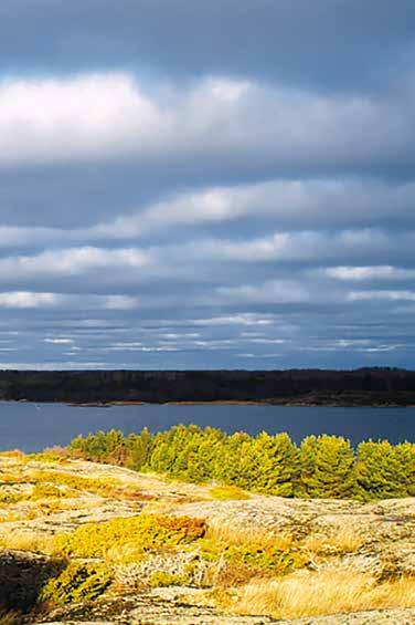 Tutustu saarten helminauhaan Brändö on Ahvenanmaan saaristokunnista pohjoisin ja sijaitsee lähimpänä Manner-Suomea. Matka Turusta Brändöhön kestää vain kaksi tuntia.