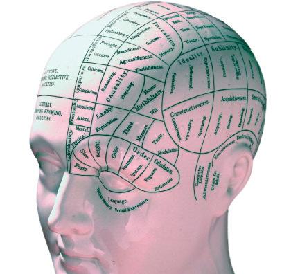 Inlärning i neurala nätverk Modularitet (Fodor, 1983) Medvetandet består av högnivå generella centrala processer och lågnivå specifika modulära processer Gradient back propagation innebär att de