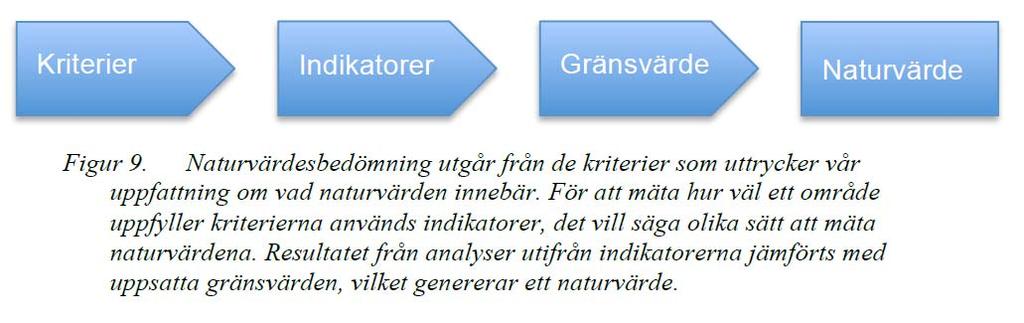 Hur mäts naturvärden?