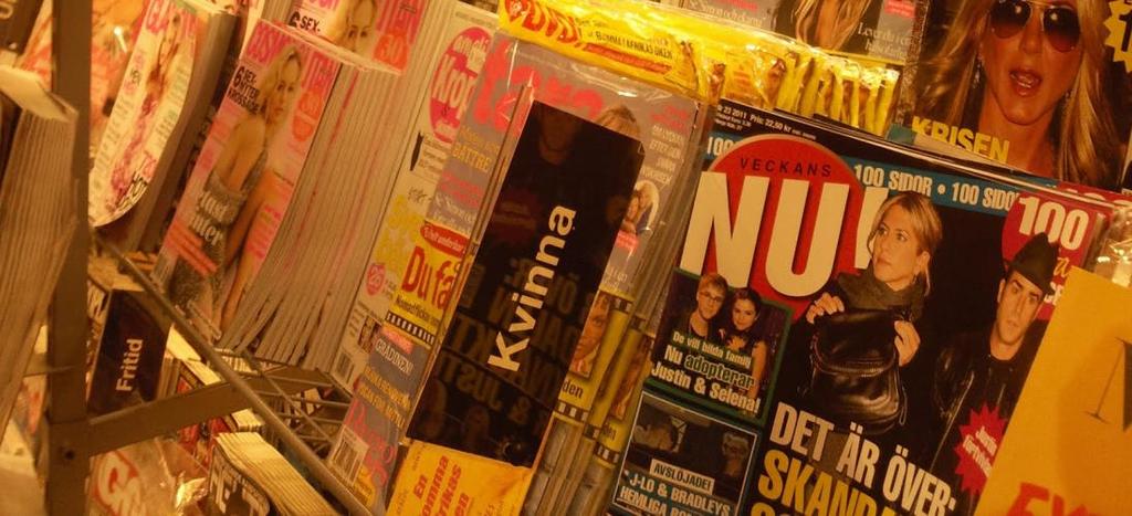 Figur 3: Exempelbild på en kategoriskylt. Kategorisystemet som modellerna använder ser likadant ut i båda modellerna.