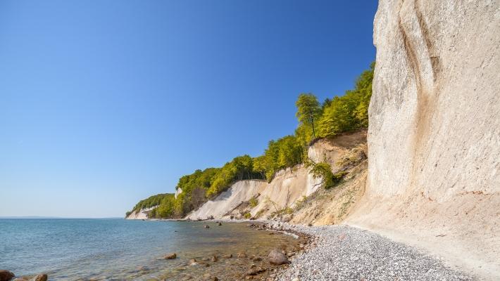 Naturreservatet smund har omväxlande natur och rik flora och fauna. Naturerbe Zentrum Rügen (40.