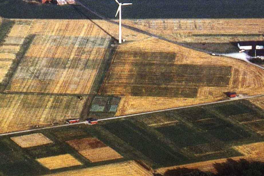 Flytgödsel som tillförs i vårbruket och myllas snabbt ger bra kväveutnyttjande och måttlig utlakning om det sker med rätt giva Tot-N, kg/ha och år 100 80 60 40 20 0 Utan fånggröda, handelsgödsel