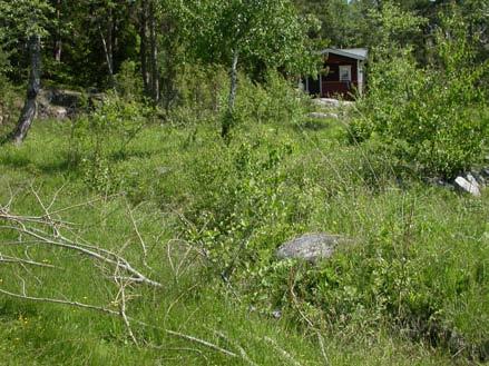 Lokalen sköts inte aktivt men hålls trädfri för utsikt från stugan Skraken. Nyligen har en gärdesgård satts upp genom krisslabeståndet så att det delats på mitten. F.n. förekommer inget bete på någondera sidan.