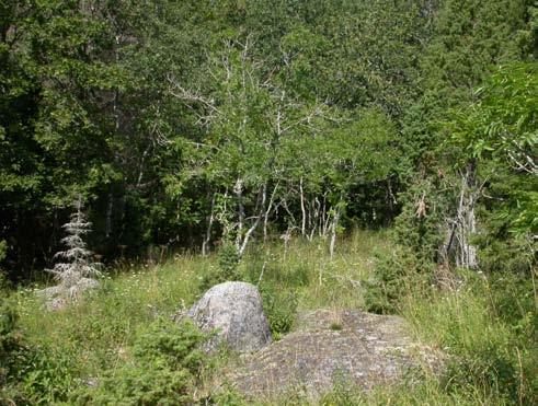 Reservatet har i dagsläget inte syftet att skydda eller sköta natur, men även om Yxeln således sköts med normalt produktionsskogsbruk har stora delar ännu ej avverkats.