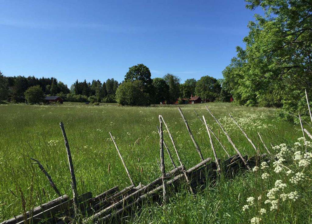 Församlingsblad sommar
