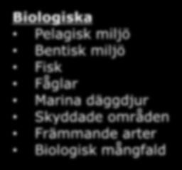 Buller Biologiska Pelagisk miljö Bentisk miljö Fisk Fåglar Marina däggdjur